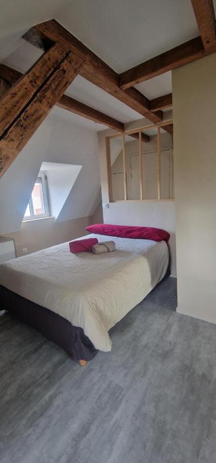 Henner Des Trois Frontieres Apartment Saint-Louis  Ngoại thất bức ảnh